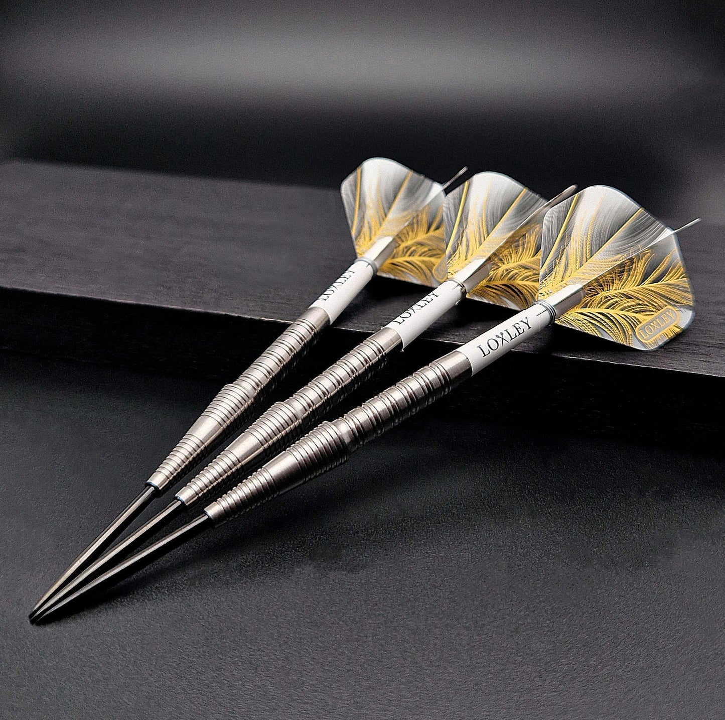 Loxley Robin Pro Tour Model 2 90% Tungsten Darts