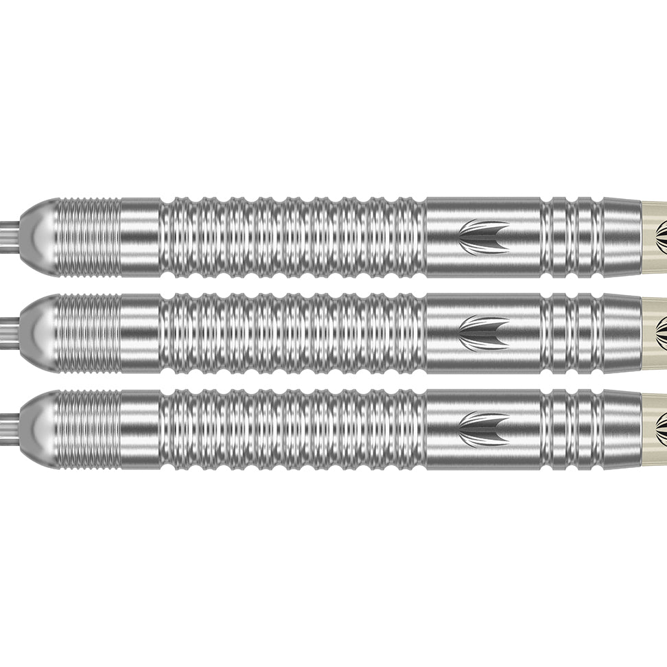 Target Darts Dimitri Van Den Bergh Gen 2 90% Tungsten Steel Tip Darts