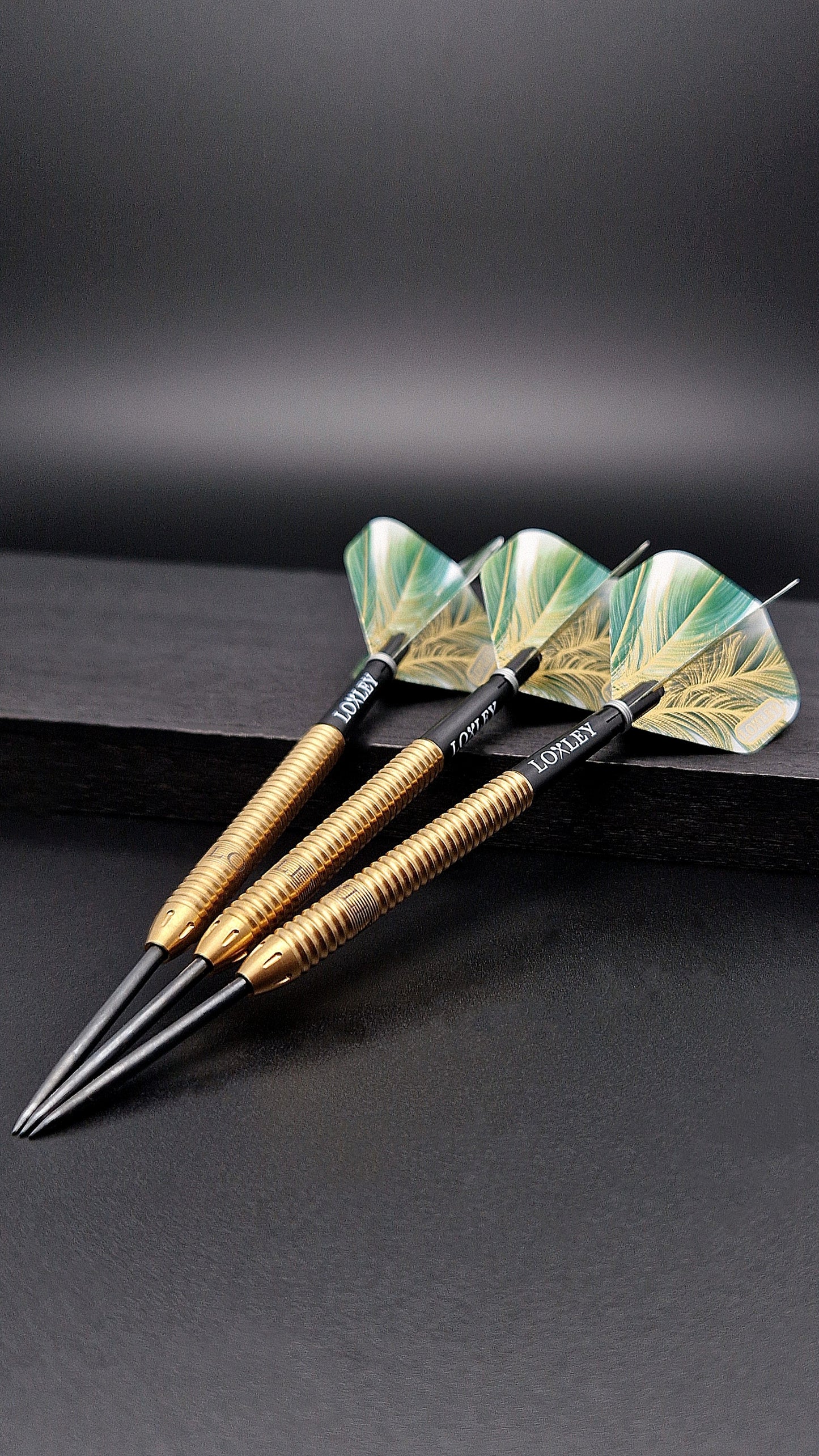 Loxley David Schlichting 90% Tungsten Steel Tip Darts